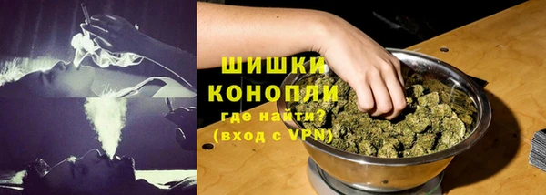 крисы Сясьстрой