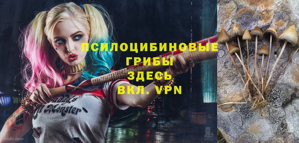 бошки Верея