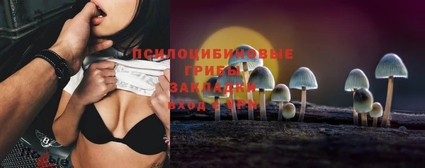 мдпв Тавда