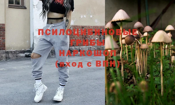 apvp Верхний Тагил