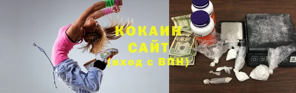 крисы Сясьстрой