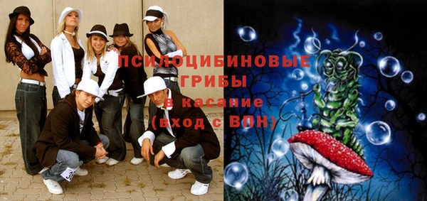 бошки Верея