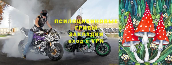 бошки Верея