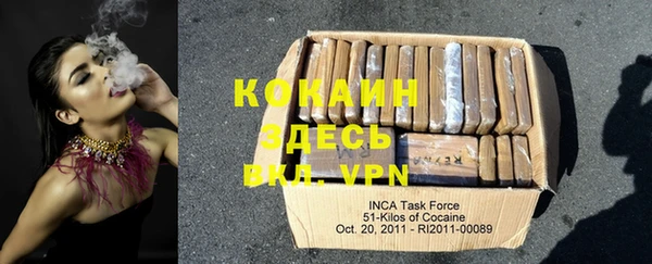 прущие крисы Тайга