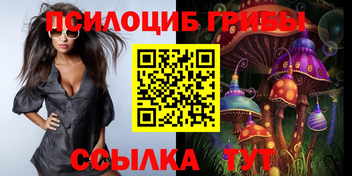 Псилоцибиновые грибы GOLDEN TEACHER  Вход с VPN  Псилоцибиновые грибы Magic Shrooms  Северобайкальск 