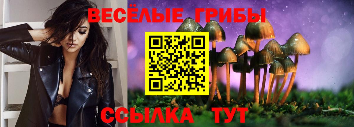 Галлюциногенные грибы мухоморы Северобайкальск