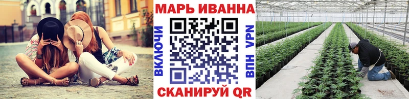 Бошки Шишки конопля KRAKEN ссылка Северобайкальск